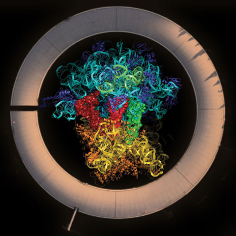 Table of Content image for article: The Ribosome Under Synchrotron Light
